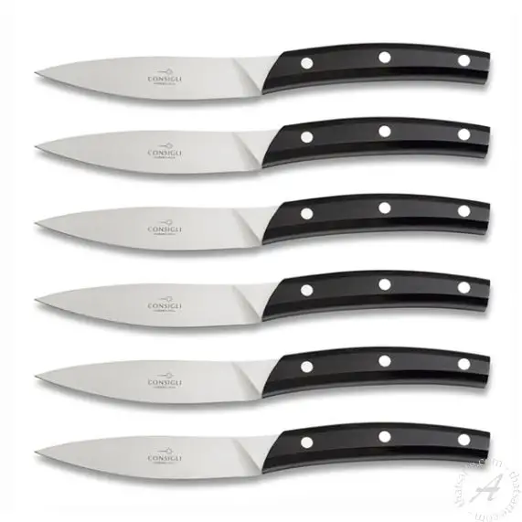 https://media.thatsarte.com/media/catalog/product/cache/e6a702eb22a56fc19020f6f670334a11/s/t/steak-knives-falorni-nero-6-cofa618pln6_1.jpg