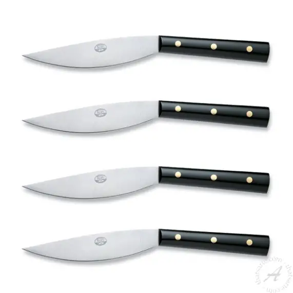 Steak Knives Black Lucite Handles - Set of 4 main product photo