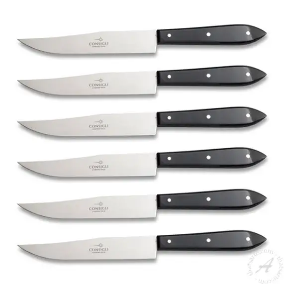 Set of 6 Table Knives White Resin Handles Scarperia Consigli 