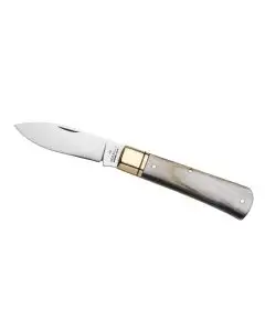Mugellano Pocket Knife Ox Horn Handle