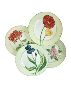 Set of 4 Dinner Plates